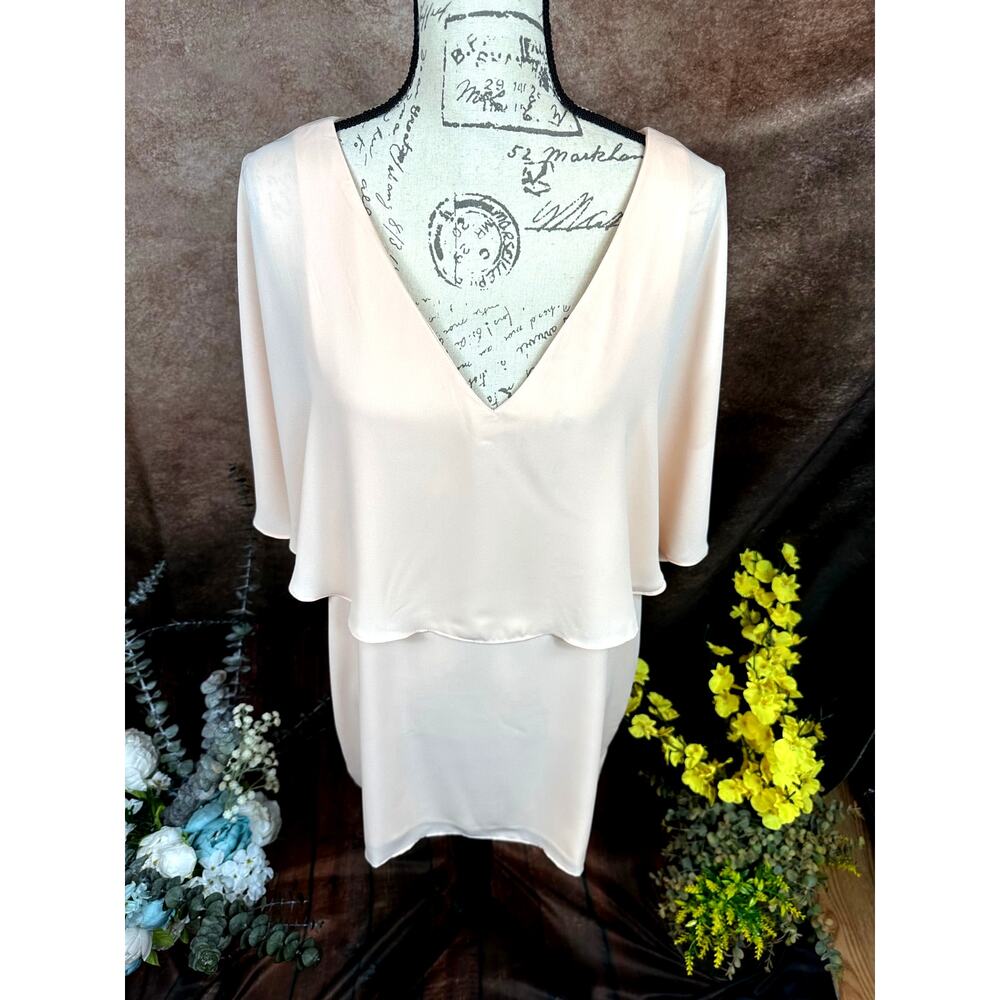 Three Eighty Two V Neck Overlay Chiffon Mini Dres… - image 6